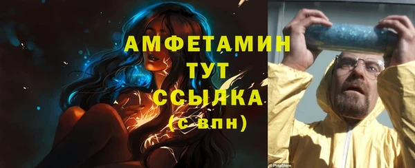 PSILOCYBIN Вяземский