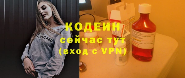 дживик Вязьма