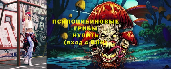 дживик Вязьма