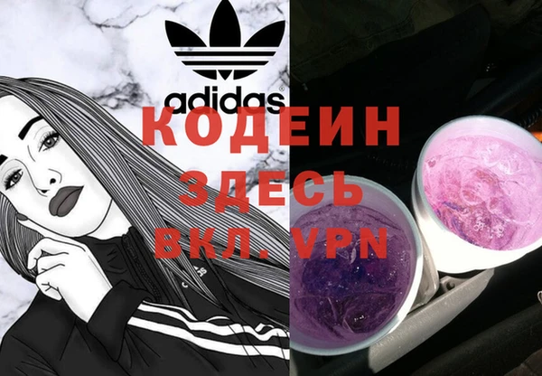 дживик Вязьма