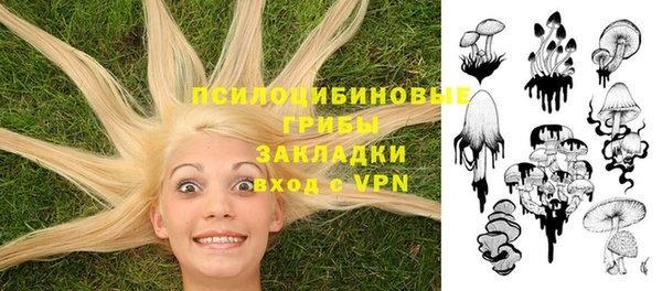 PSILOCYBIN Вяземский