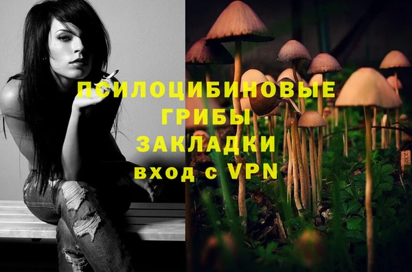 PSILOCYBIN Вяземский