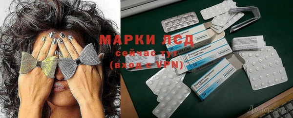 дживик Вязьма
