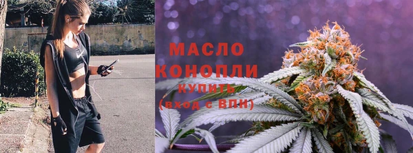 дживик Вязьма