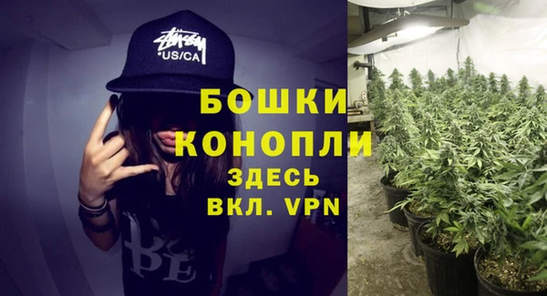 дживик Вязьма