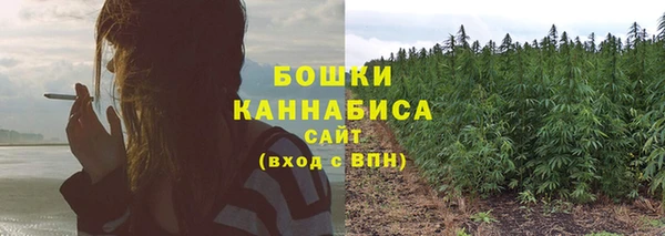 PSILOCYBIN Вяземский