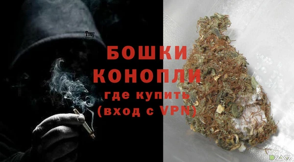 PSILOCYBIN Вяземский