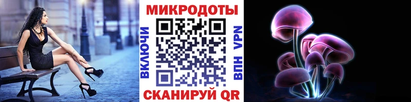 Псилоцибиновые грибы Psilocybine cubensis  Купить где  Кизел 